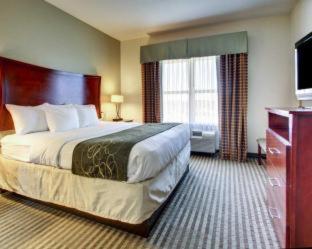 Comfort Suites Vicksburg - Vicksburg - 2