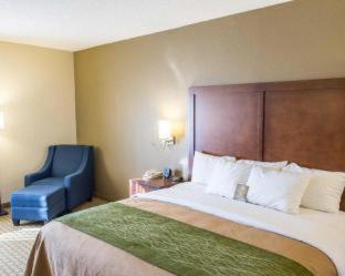 Comfort Inn Hammond - Hammond - 2
