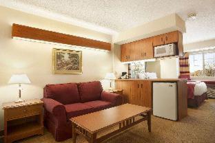Microtel Inn & Suites by Wyndham Ann Arbor - Ann Arbor - 4