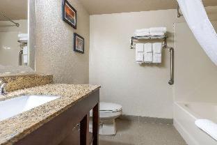 Comfort Inn Asheville Airport - Fletcher - 9