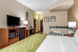 Comfort Inn Asheville Airport - Fletcher - 8