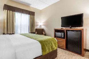Comfort Inn Asheville Airport - Fletcher - 7