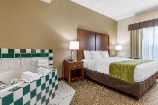 Comfort Inn Asheville Airport - Fletcher - 6
