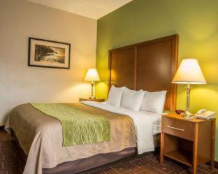 Comfort Inn Asheville Airport - Fletcher - 5