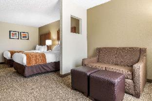 Comfort Inn Asheville Airport - Fletcher - 3