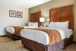 Comfort Inn Asheville Airport - Fletcher - 2