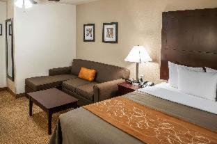 Comfort Suites Albuquerque-North Journal Center - 9