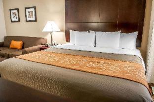 Comfort Suites Albuquerque-North Journal Center - 8