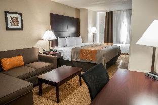 Comfort Suites Albuquerque-North Journal Center - 7