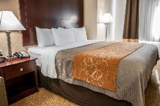 Comfort Suites Albuquerque-North Journal Center - 5