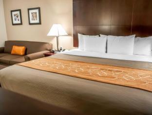 Comfort Suites Albuquerque-North Journal Center - 1