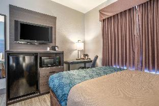 Quality Inn & Suites - Demopolis - 7