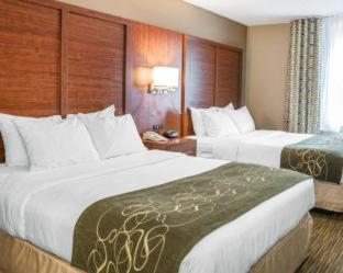 Comfort Suites Elkhart North - Elkhart - 6