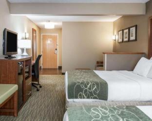 Comfort Suites Elkhart North - Elkhart - 5