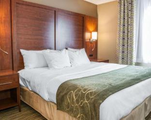 Comfort Suites Elkhart North - Elkhart - 1