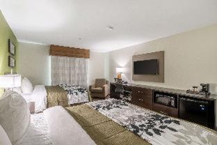 Sleep Inn & Suites College Station near University - 6