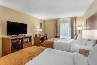 Comfort Inn Asheville East-Blue Ridge Pkwy Access - 3