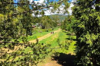 Tyra Summit Townhome #902 - Breckenridge - 8