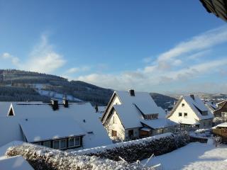 Ferienwohnungen Luge - Winterberg - Winterberg - 8