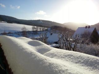 Ferienwohnungen Luge - Winterberg - Winterberg - 7