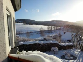Ferienwohnungen Luge - Winterberg - Winterberg - 1