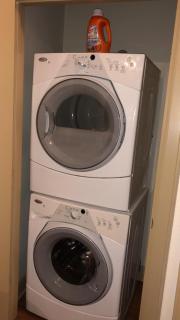 Gorgeous Furnished Apartments near Texas Medical Center & NRG Stadium - Houston - 9