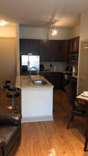 Gorgeous Furnished Apartments near Texas Medical Center & NRG Stadium - Houston - 5