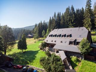 Horský hotel Vidly - Karlova Studánka - 7