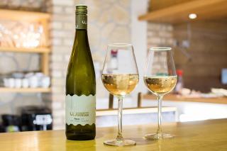 Horský hotel Vidly - 5