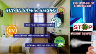 Eight Days Boutique Hotel - Mount Austin - 5