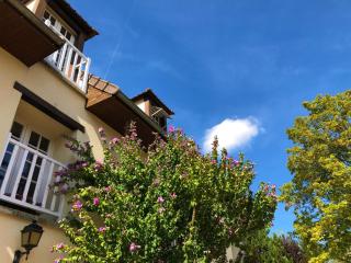 Petit loft de charme proche VERSAILLES SACLAY 30 mn PARIS jardin terrasse parking securisé - Janvry - 6