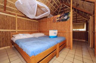 Pine Beach Pakostane - All Inclusive light - Pakoštane - 4