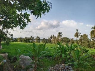 Gopi Plantation Homestay - Hampi - 0