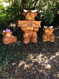 Kilmore Farmhouse - 6