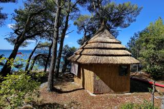 Pine Beach Pakostane - All Inclusive light - Pakoštane - 6