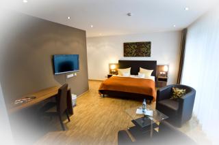 Schroeders Stadtwaldhotel - Treviri - 9