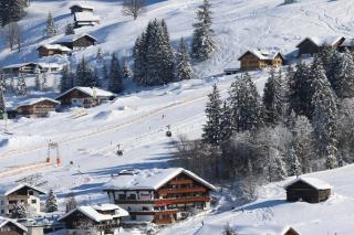 Hotel Almhof Rupp - Riezlern - 6
