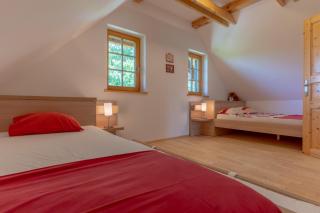 Chalet Haloze - Pristava - 6
