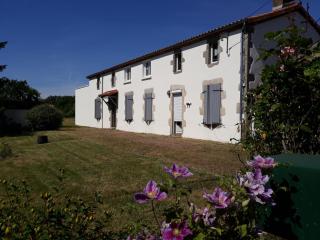 La Longère de Mina - La Petite-Boissière - 0