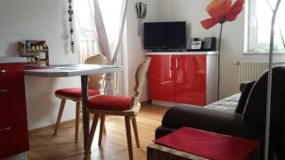 Alpenblümchen Apts. der Kornauer Stuben - 4