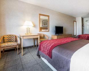 Comfort Inn Great Falls Central - Great Falls - 6