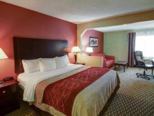 Quality Inn & Suites Pine Bluff - Pine Bluff - 2