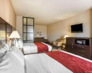 Comfort Suites Macon Northwest - Macon - 8