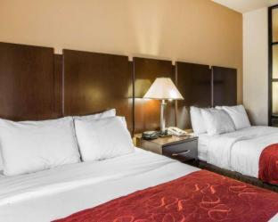 Comfort Suites Macon Northwest - Macon - 6