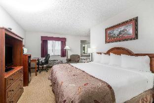 Baymont by Wyndham Marshfield - Marshfield - 1