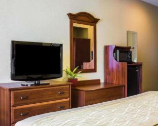 Spark by Hilton Guilford - Guilford - 6