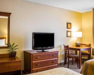 Spark by Hilton Guilford - Guilford - 1