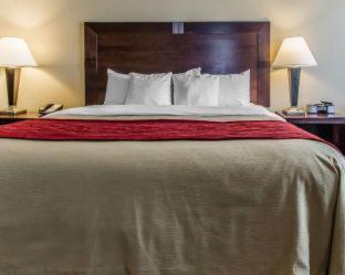 Comfort Inn & Suites Near Lake Guntersville - 4