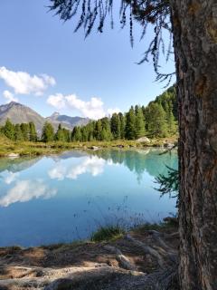 Apart Alblittblick - 3