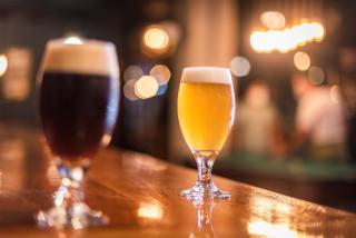 Galapagos Native - 6